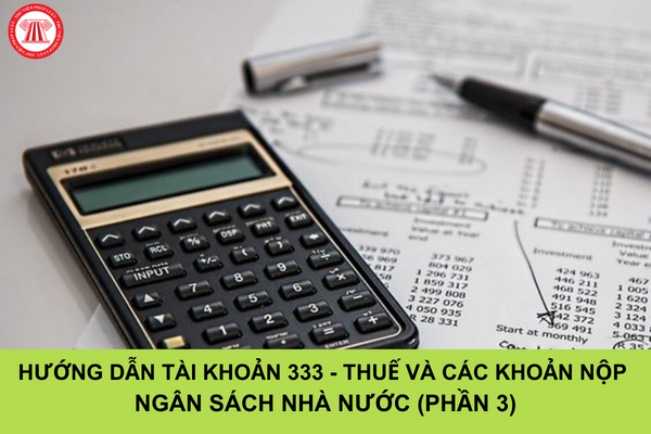 Hướng dẫn tài khoản 333 (thuế và các khoản phải nộp nhà nước) theo Thông tư 200/2014/TT-BTC (Phần 3)